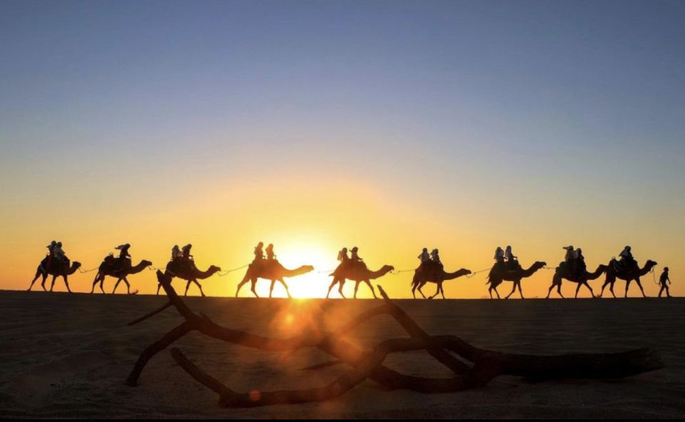 Camel Safari Adventure With Tacos - Inclusions