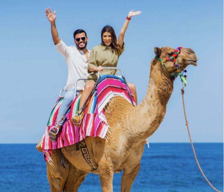 Camel Safari Adventure With Tacos - Booking and Cancellation