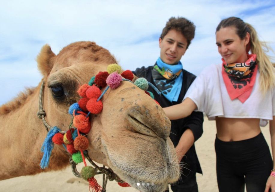 Camel Safari Adventure With Tacos - Authentic Mexican Cuisine
