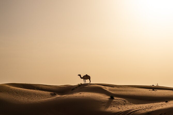 Camel Trekking in Open Red Dunes Desert - Booking Your Camel Trekking Experience