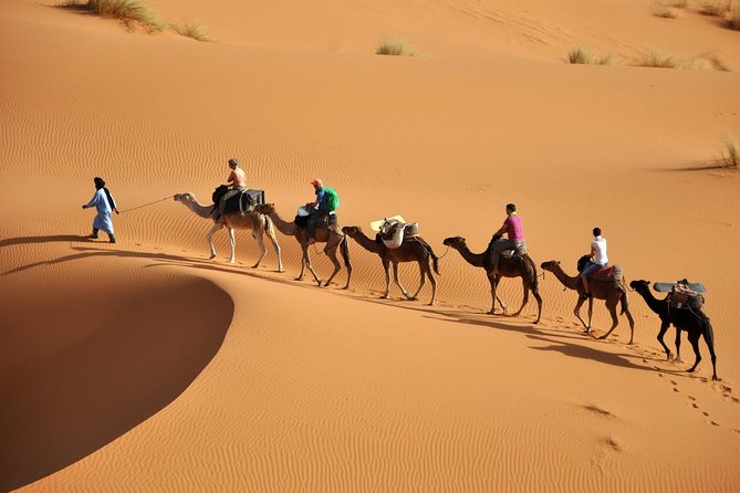 Camel Trekking & Overnight Luxury Camp - Accessibility and Traveler Considerations