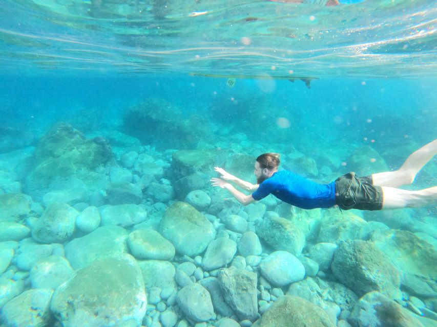 Camera De Lobos: Private Guided Kayaking Tour in Madeira - Frequently Asked Questions