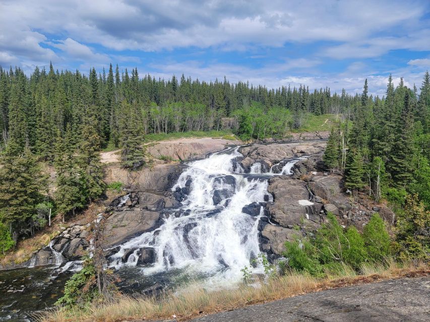Cameron Falls Waterfall Tour - Important Considerations