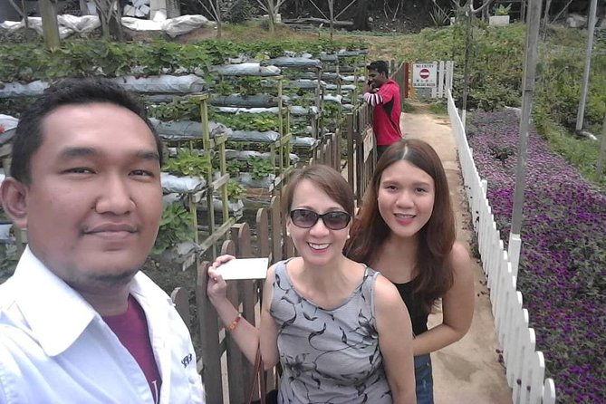 Cameron Highland Day Tour - Detailed Itinerary