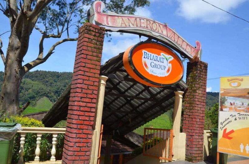 Cameron Highlands Private Day Trip - Key Points