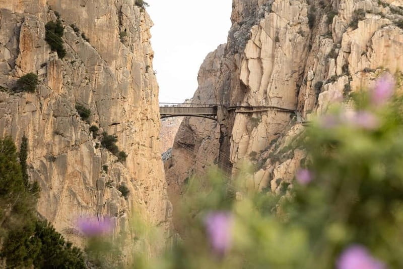 Caminito del Rey. Guided tour in Italian from El Chorro. - FAQs