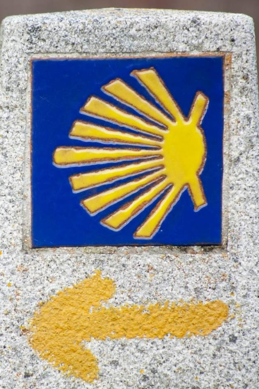Camino De Santiago: Bicycle Rental - Customer Feedback and Testimonials