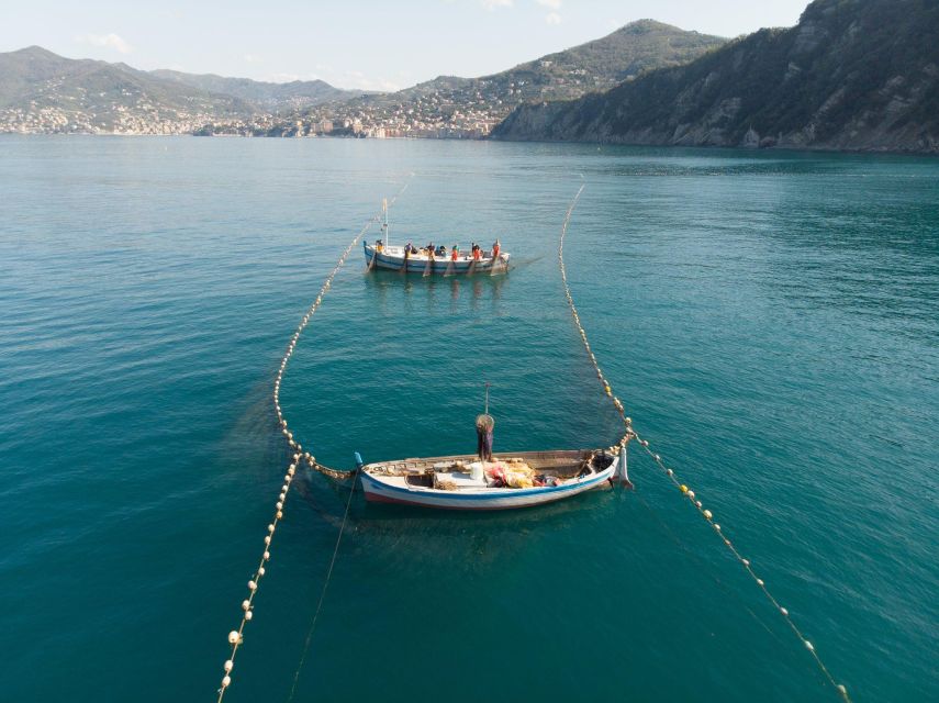 Camogli: Boat Tour on the Trail of the Tonnarella - Marine Protected Area Exploration
