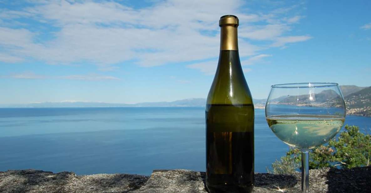 Camogli: Ligurian Wine Tasting Experience - Key Points