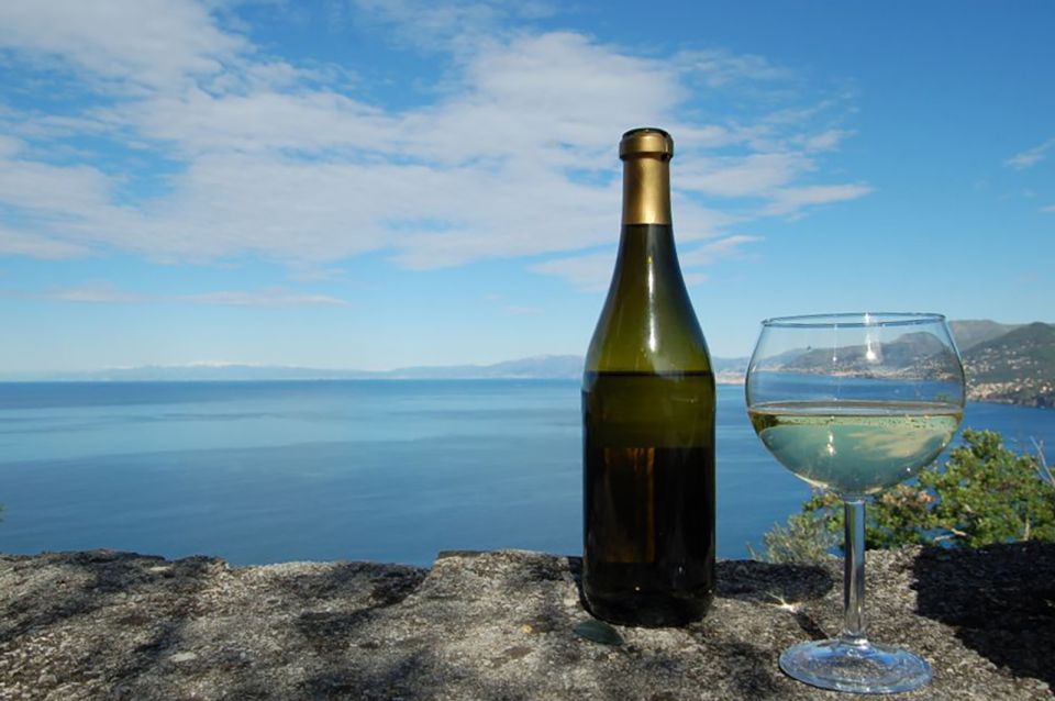 Camogli: Ligurian Wine Tasting Experience - Lessons on Tasting
