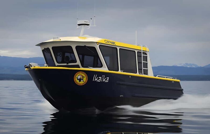 Campbell River: 4 Hour Whale & Wildlife Tour by Covered Boat - Key Points