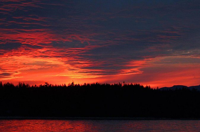 Campbell River, BC: 2 Hour Coastal Sunset Tour By Boat - Final Thoughts