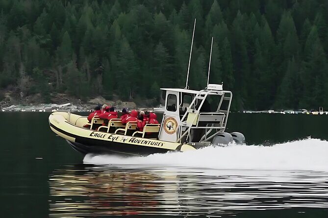 Campbell River, BC: 4 Hour Wildlife Tour Featuring Whale Watching - Key Points