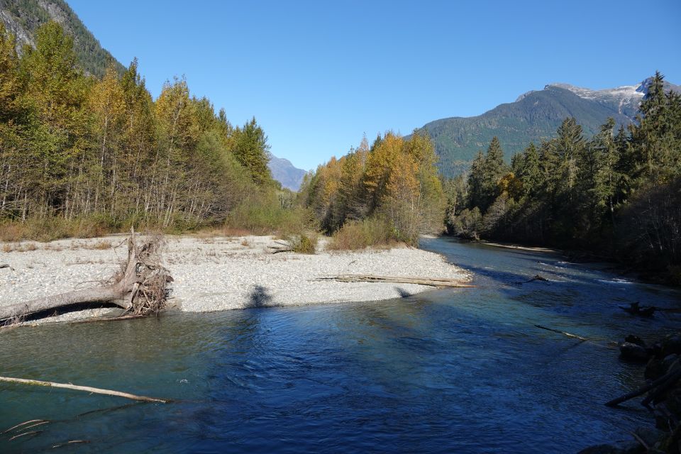 Campbell River: Bute Inlet Grizzly-Watching Tour & Boat Ride - Grizzly Bear Viewing Platforms