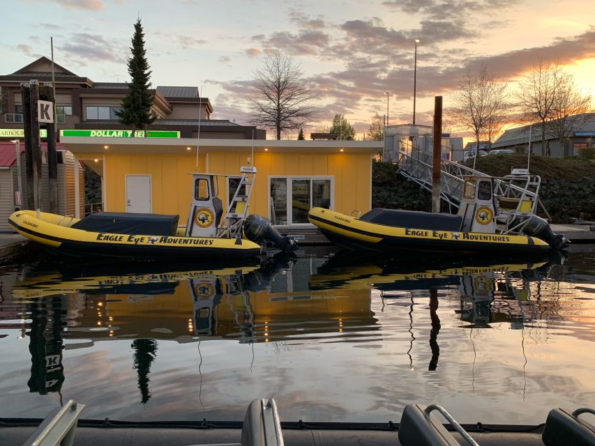 Campbell River: Discovery Passage Wildlife Zodiac Boat Tour - Frequently Asked Questions
