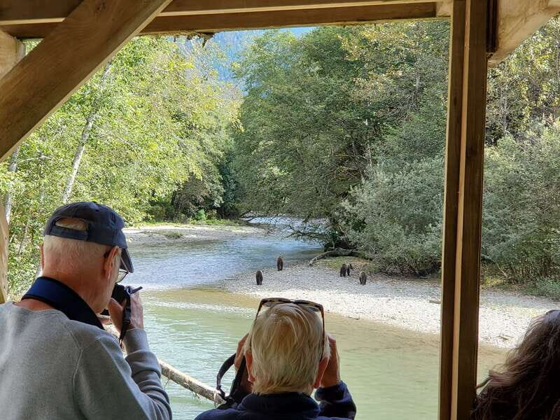 Campbell River: Grizzly Bear-Watching Tour with Lunch - The Role of the Guides and Cultural Insight