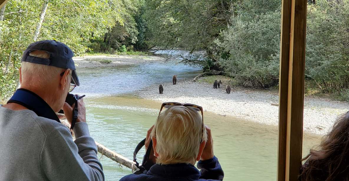 Campbell River: Grizzly Bear-Watching Tour With Lunch - Highlights of the Tour