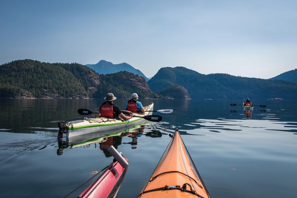 Campbell River: Kayaking and Whale Watching Tour - Parking and Access