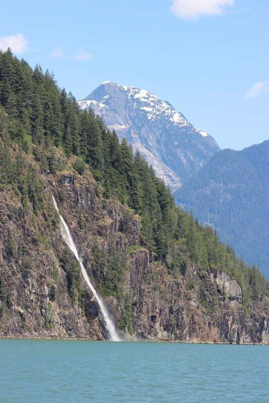 Campbell River: Spring Bear Watching & Waterfalls Boat Tour - An In-Depth Look at the Spring Bear & Waterfalls Boat Tour