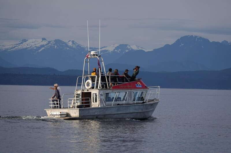 Campbell River: Spring Bear Watching & Waterfalls Boat Tour - In The Sum Up