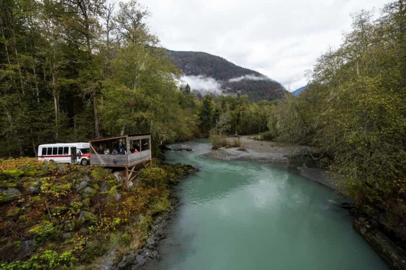 Campbell River: Toba Bears and Wilderness Grizzly Bear Tour - Key Points