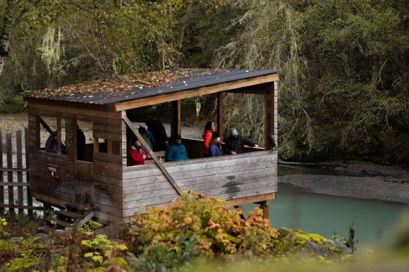 Campbell River: Toba Bears and Wilderness Grizzly Bear Tour - Cost and Value: Is It Worth It?