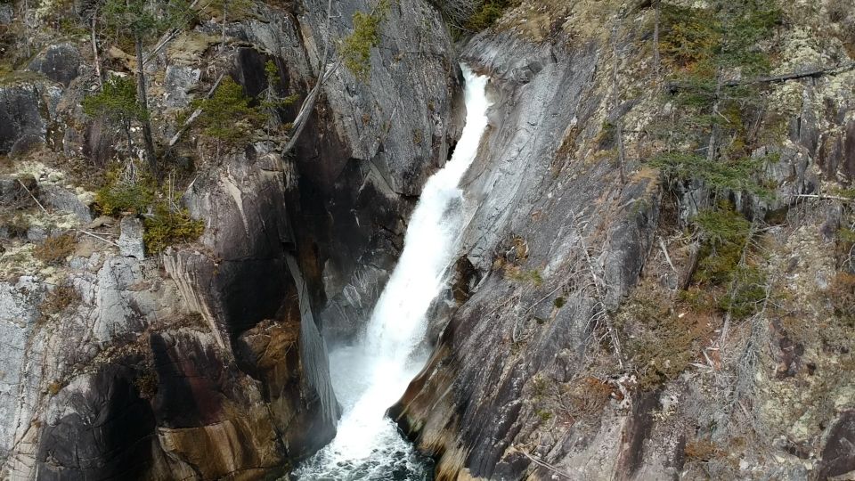 Campbell River: Waterfall and Wildlife Guided Boat Tour - Tour Highlights