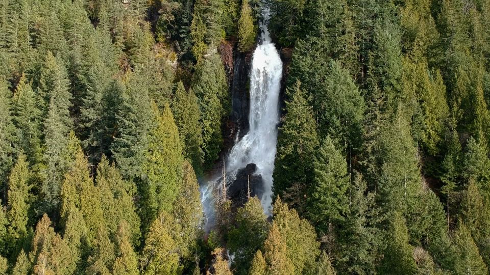 Campbell River: Waterfall and Wildlife Guided Boat Tour - Inclusions and Meeting Point