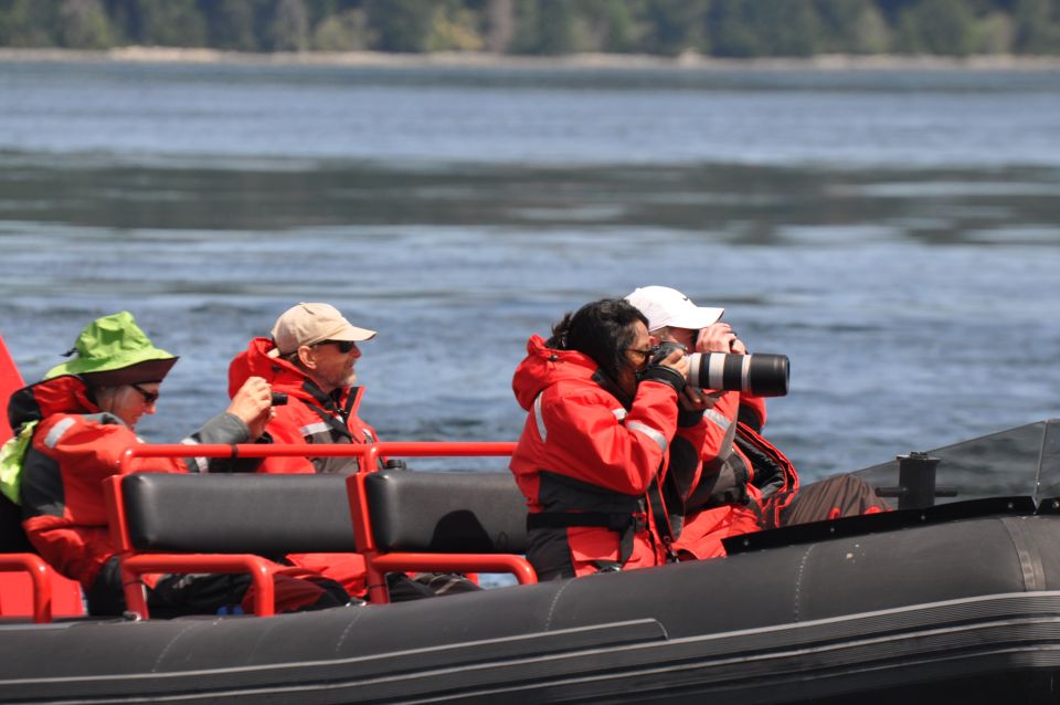 Campbell River: Whale Watching and Wildlife Viewing Day Tour - Wildlife Sightings