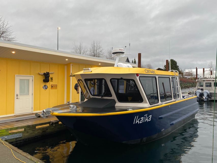 Campbell River: Whale Watching Covered Boat Tour With Lunch - Highlights of the Tour