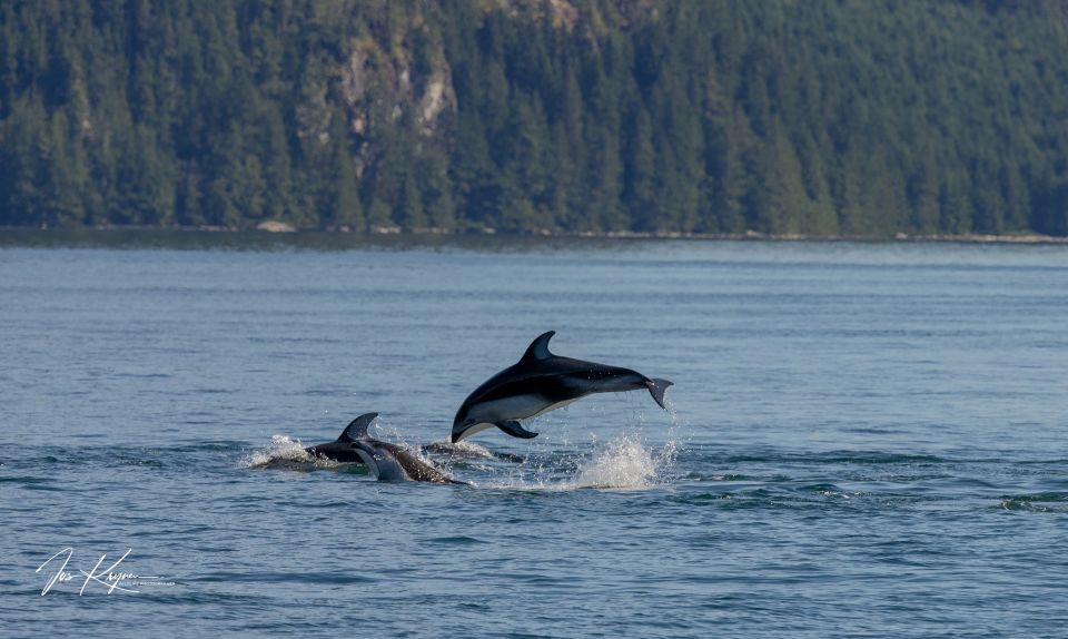 Campbell River: Whale Watching Covered Boat Tour With Lunch - Inclusions and Amenities