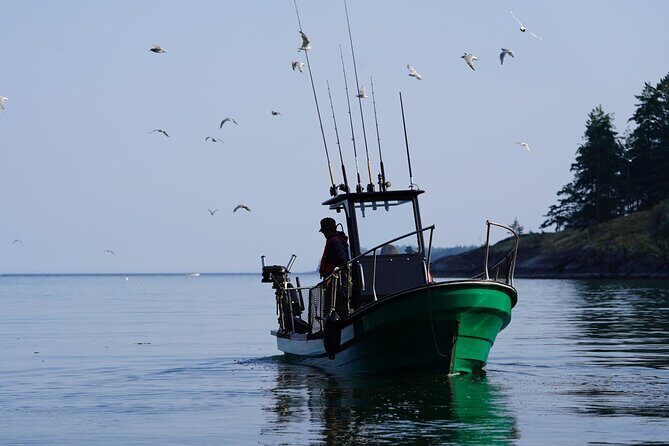 Campbell River - Whale Watching: Private & budget-friendly - Who Is This Tour Best For?