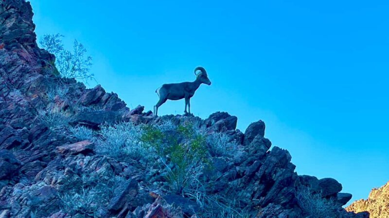 Camping Las Vegas Trip from Base of Hoover Dam, Black Canyon - Key Points