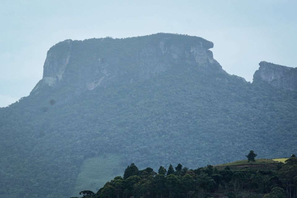 Campos Do Jordão: Full-Day Private Tour From São Paulo - Important Tour Information