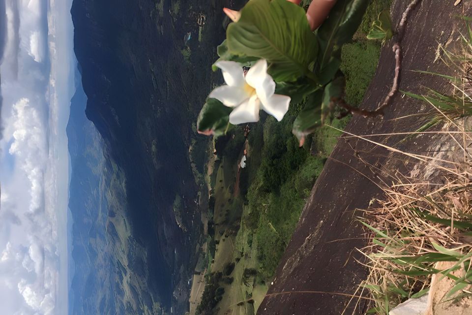 Campos Do Jordão the Brazilian Switzerland, Full Day Trip - Tips for a Great Visit