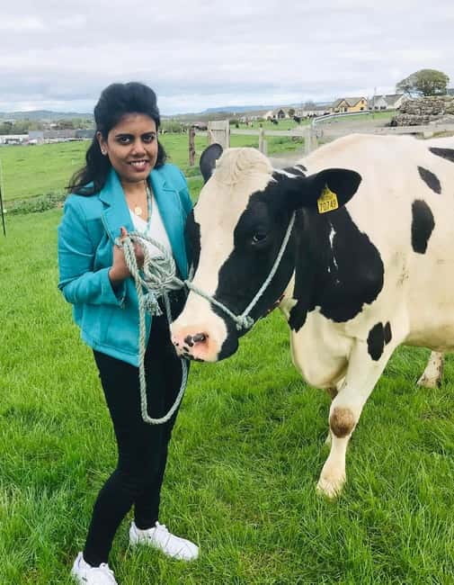 Campview Farm, Ballyshannon: Cuddle a Cow Experience - Key Points