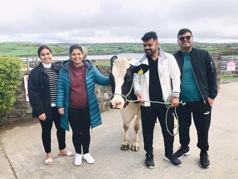 Campview Farm, Ballyshannon: Cuddle a Cow Experience - Discovering Campview Farm and Its Charm