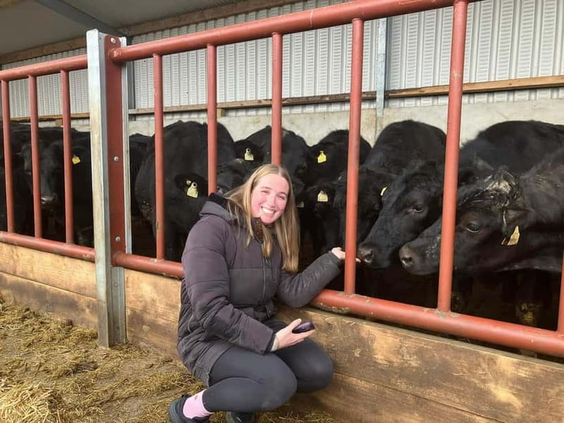 Campview Farm, Ballyshannon: Cuddle a Cow Experience - The Practicalities: What to Know Before You Go