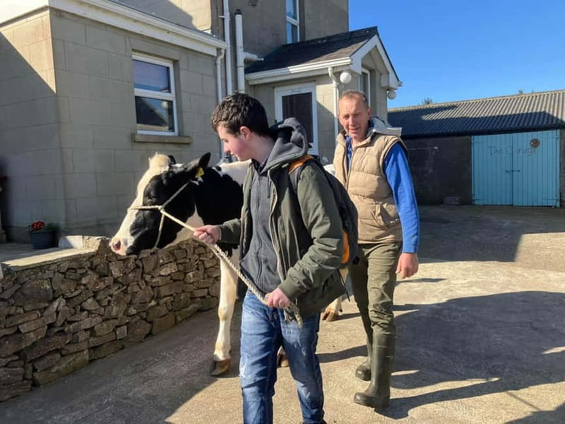Campview Farm, Ballyshannon: Cuddle a Cow Experience - Who Should Consider This Tour?