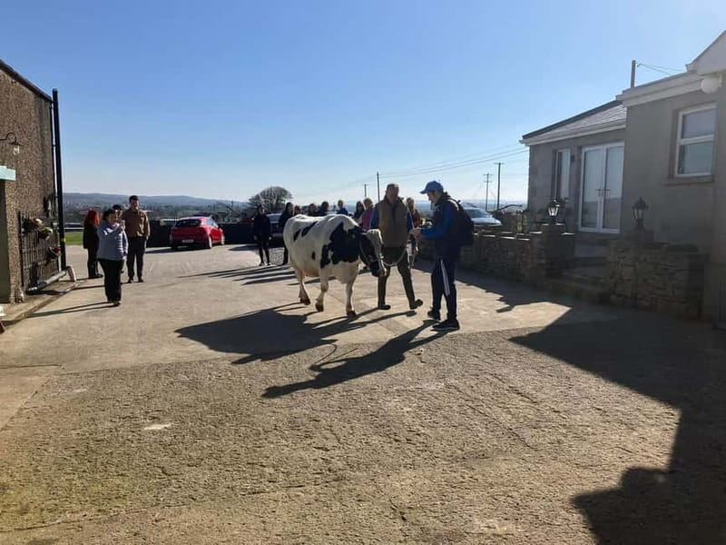 Campview Farm, Ballyshannon: Cuddle a Cow Experience - Final Thoughts