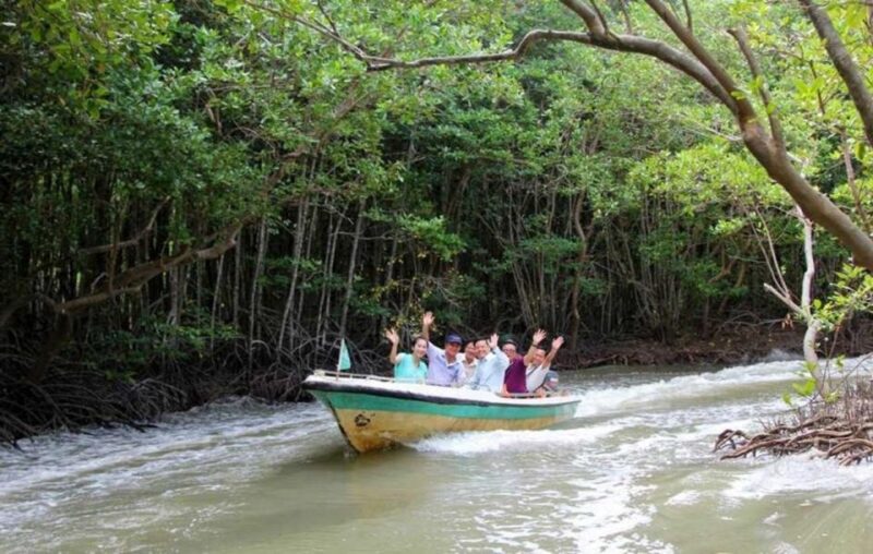 Can Gio Mangrove Biosphere Reserve 1 Day - Itinerary Details
