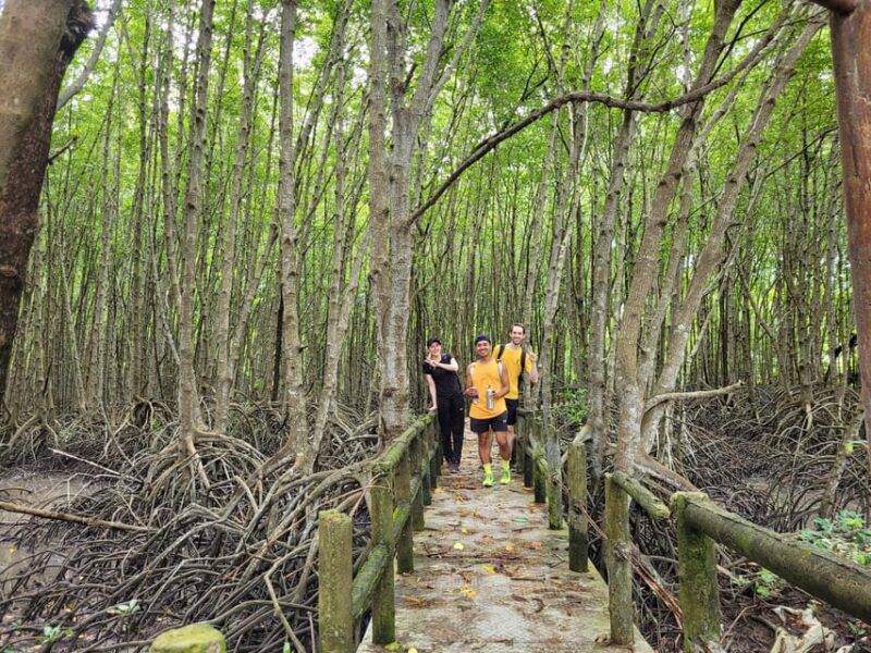 Can Gio Mangrove Forest & Monkey Island W Small Group Tour - Crocodile Area and Optional Crocodile Fishing