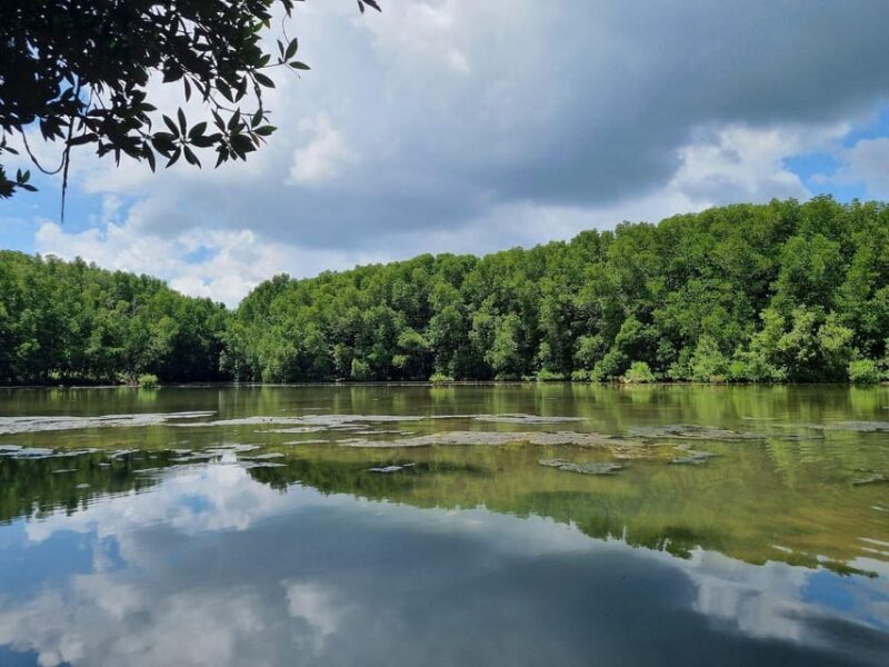 Can Gio Mangrove Forest & Monkey Island W Small Group Tour - Sac Guerilla Camp: A Major Tourist Attraction