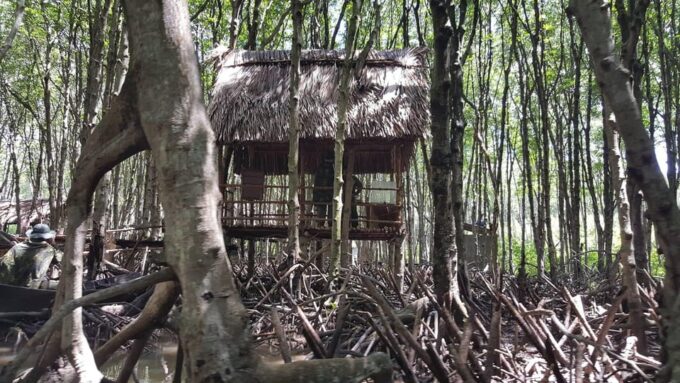 Can Gio Mangrove Forest & Monkey Island W Small Group Tour - Inclusions and Customer Feedback