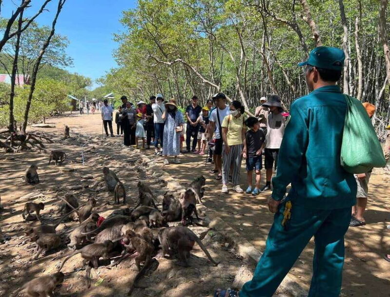 Can Gio Monkey Island Day Trip From HCMC - Key Points