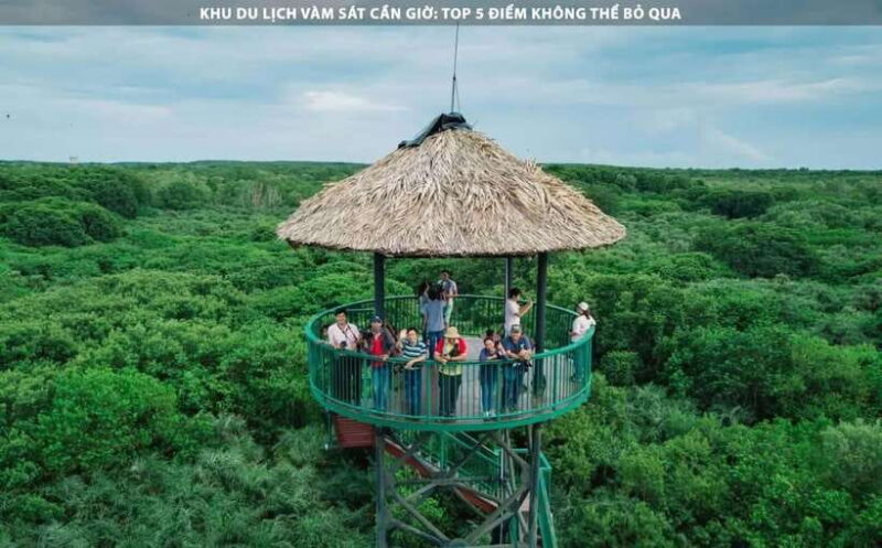 Can Gio Monkey Island Day Trip From HCMC - Historical Insights