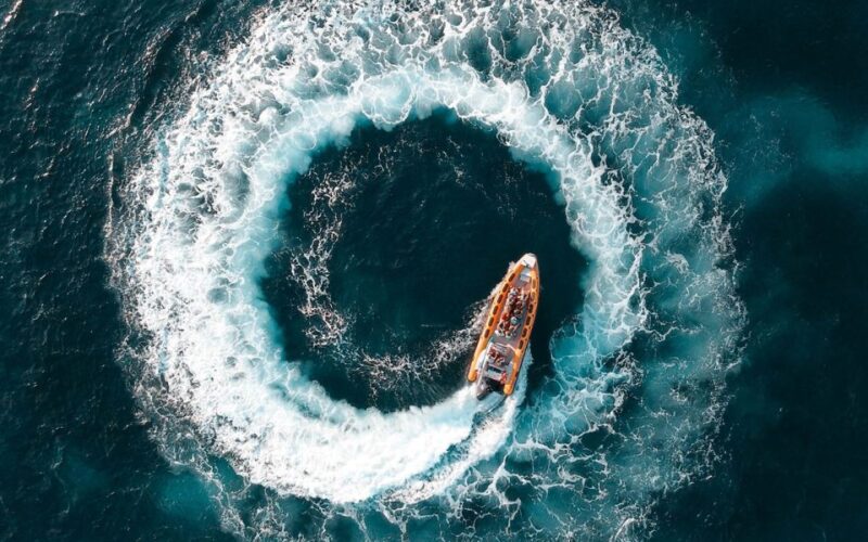 Can Picafort: Dolphin Watching Boat Tour With Swimming - Itinerary Highlights