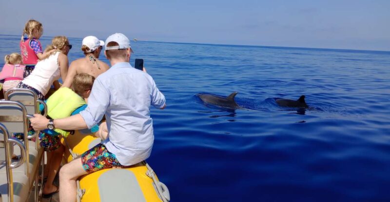Can Picafort: Dolphin Watching Boat Tour With Swimming - Customer Experience and Reviews