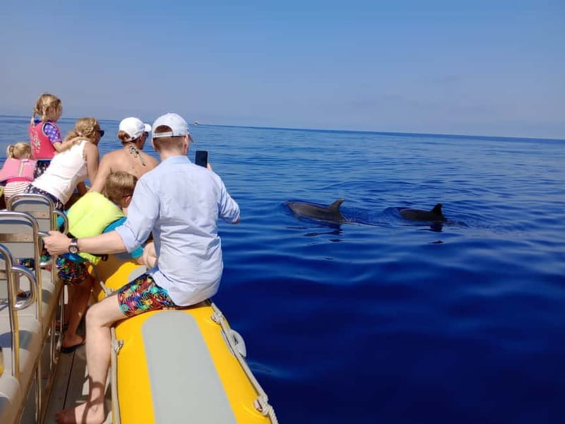 Can Picafort or Alcudia: Private boat dolphin watching - Exploring Mallorca’s Coast: What to Expect