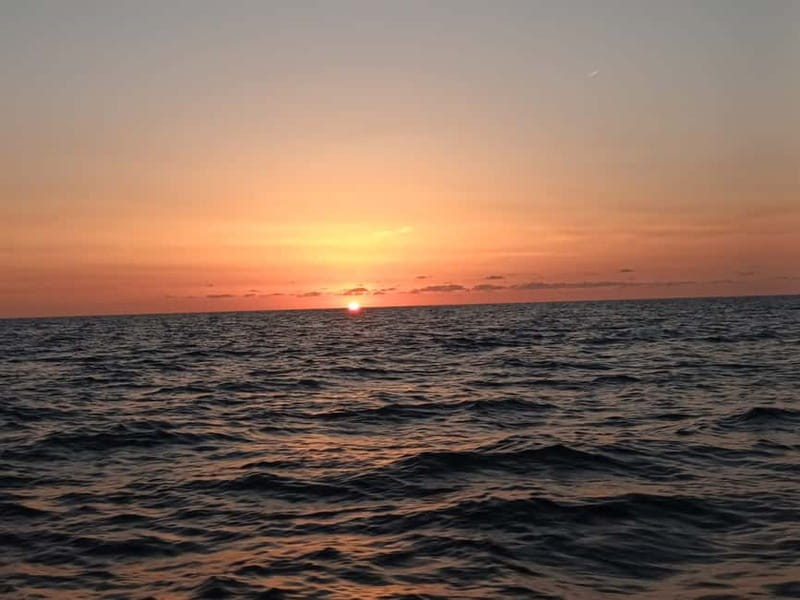 Can Picafort or Alcudia: Private boat dolphin watching - The Sum Up: Is It Worth It?